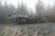 DSC01695.jpg