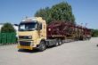 DSC06597.jpg