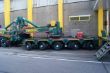 DSC07016.jpg