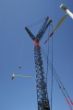 DSC05264.jpg