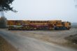 DSC01489.jpg