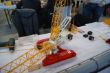DSC03906.jpg