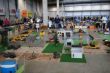DSC03985.jpg