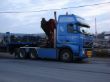 DSC01216.jpg