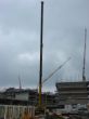 DSC07866.jpg