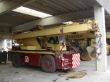 DSC03476.jpg