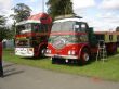DSC03504.jpg