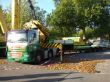 DSC04797.jpg