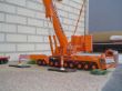 DSC02959.jpg