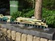 DSC07256.jpg