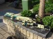 DSC07265.jpg